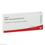 RENES REGIO PYELORENALIS GL D12  - FIALE 10 X 1 ML