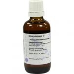AMMI-VISNAGA tintura madre D1 - 50ml