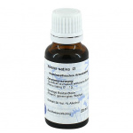 AVENA SATIVA tintura madre - 20ml