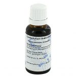 CAULOPHYLLUM D6 - 20ml