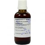 HARPAGOPHYTUM tintura madre - 50ml