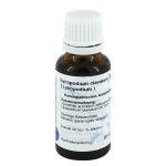 LYCOPODIUM D12 - 20ml