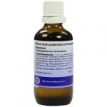 RHUS TOXICODENDRON KOMPLEX - 50ml