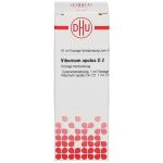 VIBURNUM OPULUS D2 DILUIZIONE 20 ML