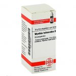 WYETHIA HELENIOIDES D6 DHU GLOBULI CONFEZIONE DA 10 G