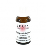 Dipsacus Follonum Cardo dei Lanaioli Tintura Madre confezione da 20ml