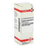 SYZYGIUM JAMBOLANUM D3 DILUIZIONE 20 ML