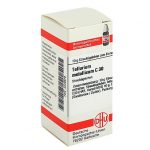 TELLURIUM METALLICUM C30 GLOBULI 10 G