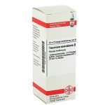 TEUCRIUM SCORODONIA D3 DILUIZIONE 20 ML