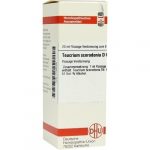 TEUCRIUM SCORODONIA D6 DILUIZIONE 20 ML