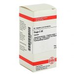 THUJA C30 80 COMPRESSE