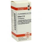 URTICA C12 GLOBULI 10 G
