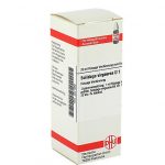SOLIDAGO VIRGAUREA D1 DILUIZIONE 20 ML