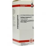 SOLIDAGO VIRGAUREA D1 DILUIZIONE 50 ML