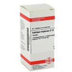 SOLIDAGO VIRGAUREA D12 80 COMPRESSE