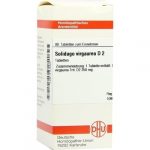 SOLIDAGO VIRGAUREA D2 80 COMPRESSE