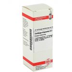 SOLIDAGO VIRGAUREA D2 DILUIZIONE 20 ML