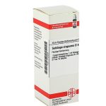 SOLIDAGO VIRGAUREA D4 DILUIZIONE 20 ML