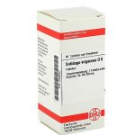 SOLIDAGO VIRGAUREA D6 80 COMPRESSE