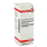 SOLIDAGO VIRGAUREA D6 DILUIZIONE 20 ML