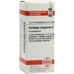SOLIDAGO VIRGAUREA C200 GLOBULI 10 G