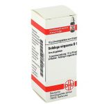 SOLIDAGO VIRGAUREA D12 GLOBULI 10 G