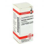 SOLIDAGO VIRGAUREA D4 GLOBULI 10 G
