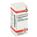 SOLIDAGO VIRGAUREA D6 GLOBULI 10 G