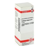 SOLIDAGO VIRGAUREA TINTURA MADRE 20 ML