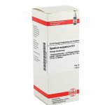 SPARTIUM SCOPARIUM D2 DILUIZIONE 50 ML