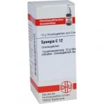 SPONGIA C12 GLOBULI 10 G