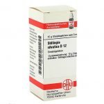 STILLINGIA SILVATICA D12 GLOBULI 10 G