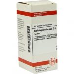 ROBINIA PSEUDOACACIA D4 80 COMPRESSE