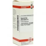 ROSMARINUS OFFICINALIS D4 DILUIZIONE 20 ML