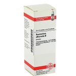 ROSMARINUS OFFICINALIS TINTURA MADRE 20 ML