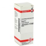 RUTA D4 DILUIZIONE 20 ML