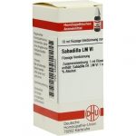 SABADILLA LM VI DILUIZIONE  10 ML