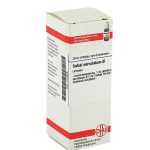 SABAL SERRULATUM TINTURA MADRE 20 ML