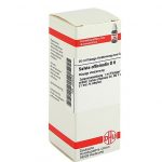 SALVIA OFFICINALIS D6 DILUIZIONE 20 ML