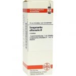 SANGUISORBA OFFICINALIS TINTURA MADRE 20 ML