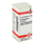 SALSAPARIGLIA D6 GLOBULI 10 G