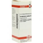 SCROPHULARIA NODOSA D3 DILUIZIONE 20 ML