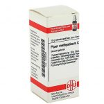 PIPER METHYSTICUM C30 GLOBULI 10 G