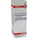 PLANTAGO LANCEOLATA D3 DILUIZIONE 20 ML