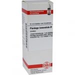 PLANTAGO LANCEOLATA TINTURA MADRE 20 ML