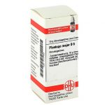 PLANTAGO MAJOR D6 GLOBULI 10 G