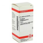 PLUMBUM METALLICUM D12 80 COMPRESSE