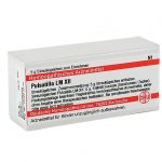 PULSATILLA LM XII GLOBULI 5 G