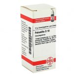 PULSATILLA D10 GLOBULI 10 G