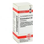 RHODODENDRON C30 GLOBULI 10 G